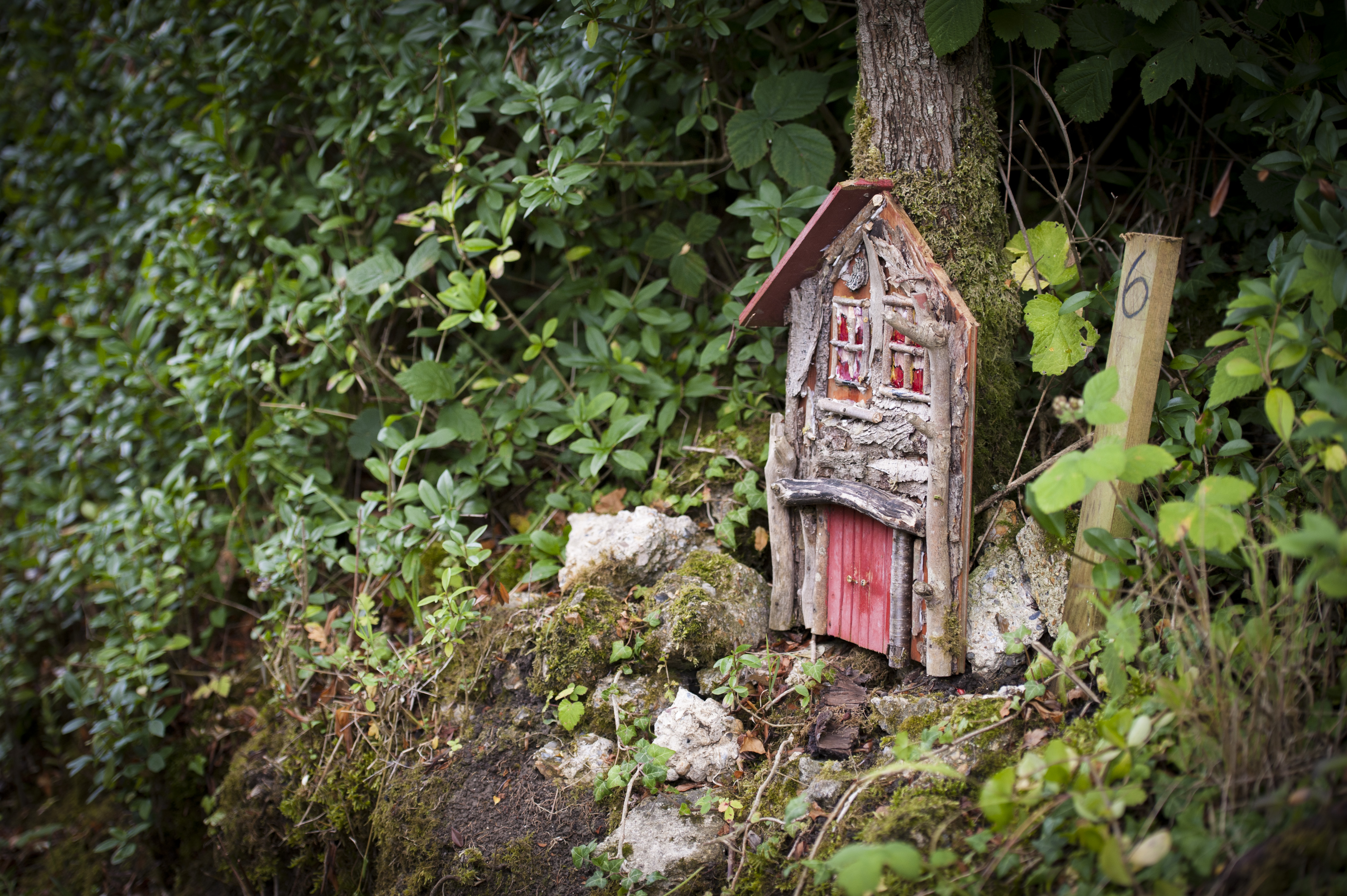 Part of the Fairy Trail at Monkton Nature Reserve. Image by Chris Constantine.