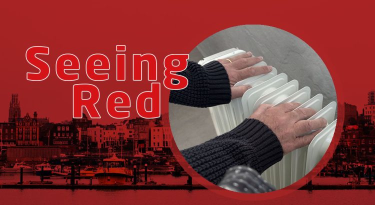 header image for the seeing red story